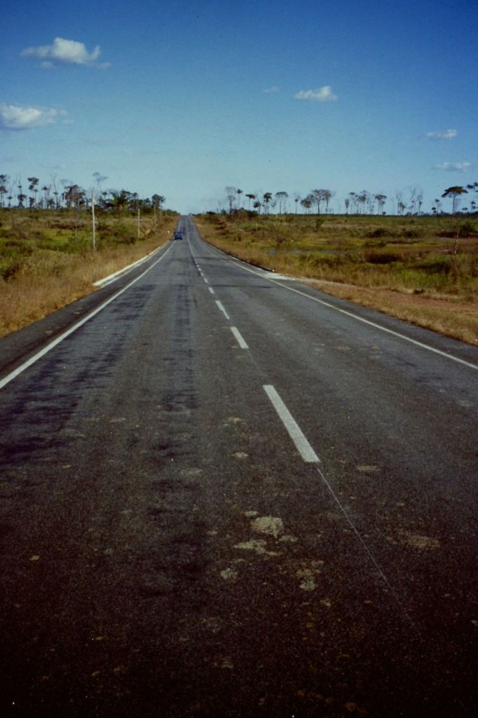 Regenwald Mato Grosso Brasilien