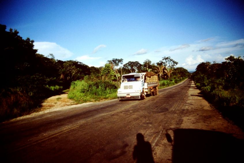 Regenwald Mato Grosso Brasilien