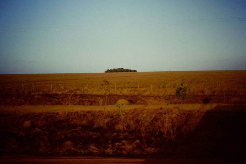 Soja in Mato Grosso Brasilien